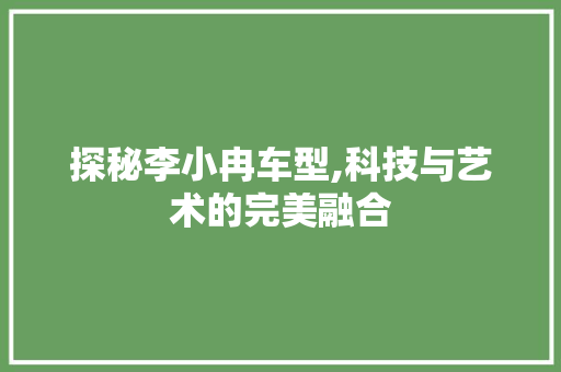 探秘李小冉车型,科技与艺术的完美融合 汽车配件