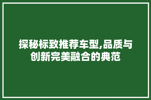 探秘标致推荐车型,品质与创新完美融合的典范 变速箱配件