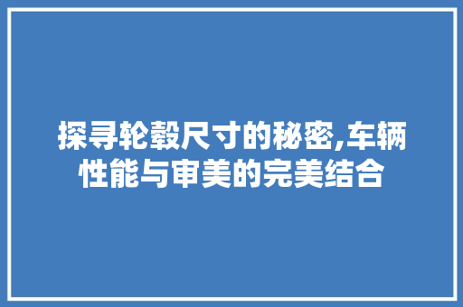 探寻轮毂尺寸的秘密,车辆性能与审美的完美结合