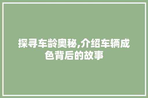 探寻车龄奥秘,介绍车辆成色背后的故事