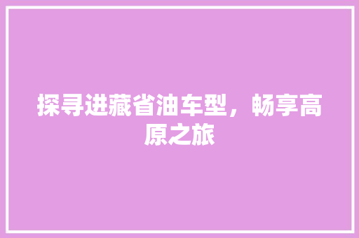 探寻进藏省油车型，畅享高原之旅