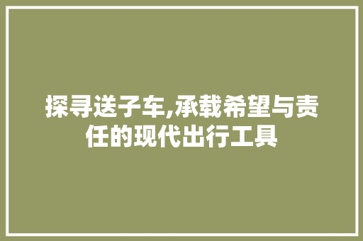 探寻送子车,承载希望与责任的现代出行工具