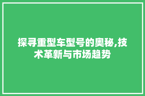 探寻重型车型号的奥秘,技术革新与市场趋势