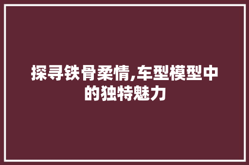 探寻铁骨柔情,车型模型中的独特魅力
