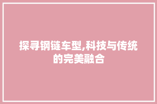 探寻钢链车型,科技与传统的完美融合