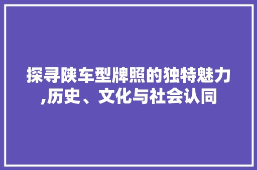 探寻陕车型牌照的独特魅力,历史、文化与社会认同