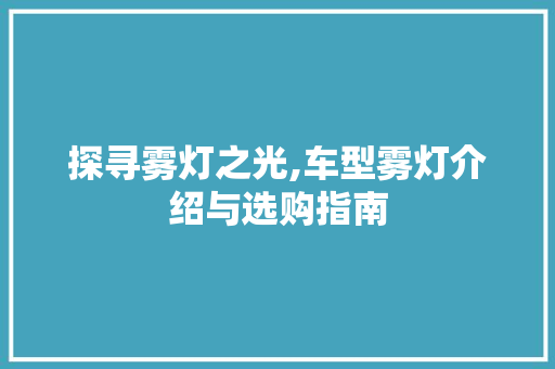 探寻雾灯之光,车型雾灯介绍与选购指南