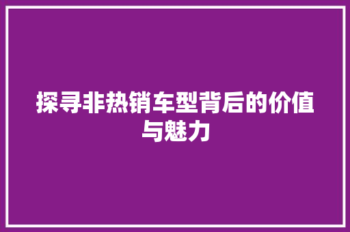 探寻非热销车型背后的价值与魅力