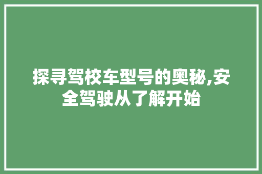 探寻驾校车型号的奥秘,安全驾驶从了解开始