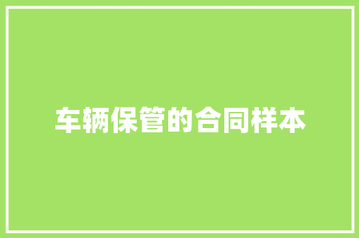 二八杠车型,引领未来汽车行业的创新力量