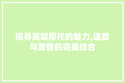 探寻高架摩托的魅力,速度与激情的完美结合