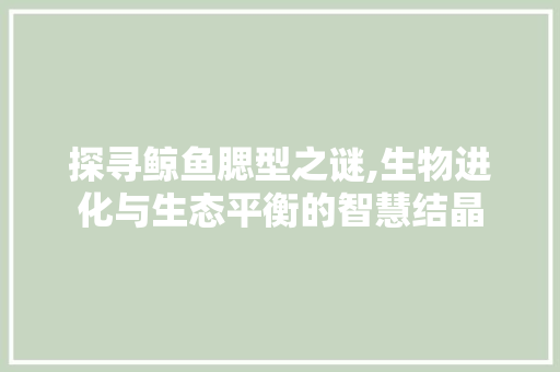 探寻鲸鱼腮型之谜,生物进化与生态平衡的智慧结晶 汽车配件