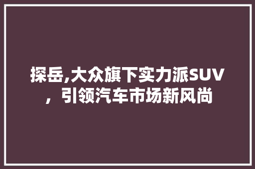 探岳,大众旗下实力派SUV，引领汽车市场新风尚 新能源汽车