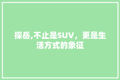 探岳,不止是SUV，更是生活方式的象征 汽车配件