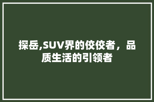 探岳,SUV界的佼佼者，品质生活的引领者