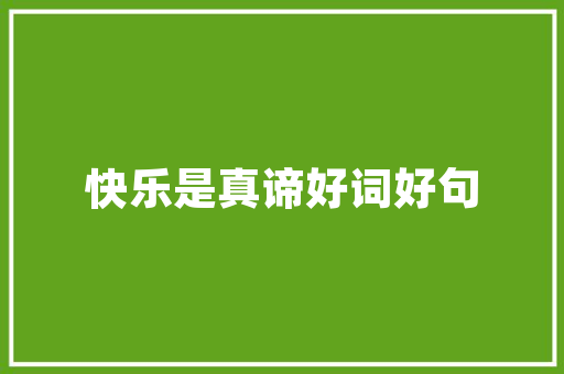 二十人车型,创新与未来的完美融合