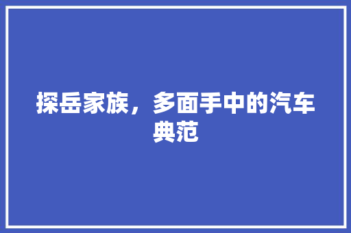 探岳家族，多面手中的汽车典范