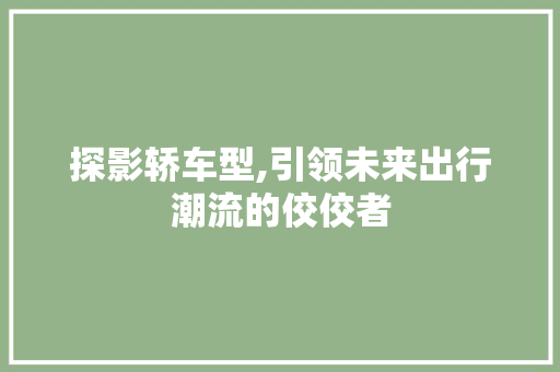 探影轿车型,引领未来出行潮流的佼佼者