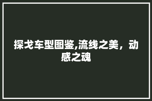 探戈车型图鉴,流线之美，动感之魂