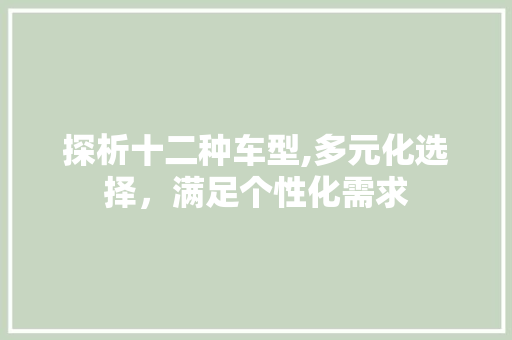 探析十二种车型,多元化选择，满足个性化需求