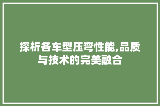 探析各车型压弯性能,品质与技术的完美融合