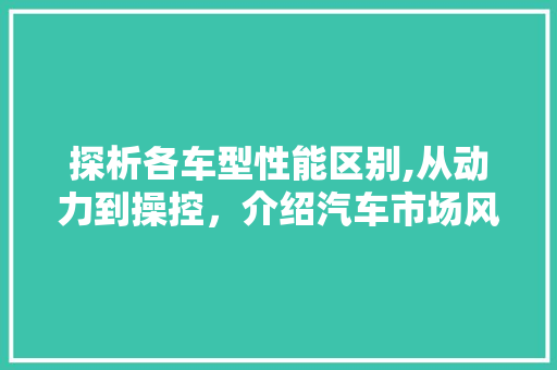 探析各车型性能区别,从动力到操控，介绍汽车市场风云