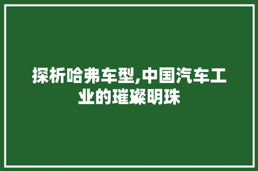探析哈弗车型,中国汽车工业的璀璨明珠