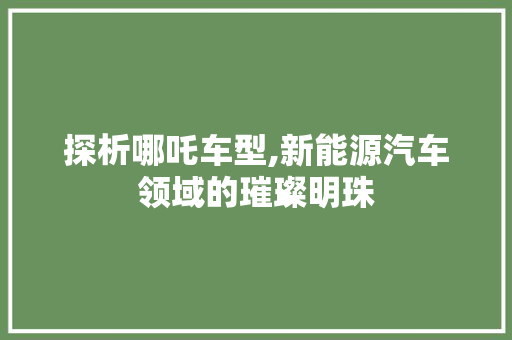 探析哪吒车型,新能源汽车领域的璀璨明珠