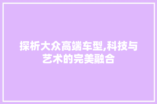 探析大众高端车型,科技与艺术的完美融合