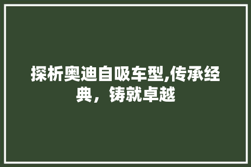 探析奥迪自吸车型,传承经典，铸就卓越
