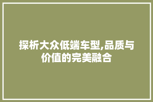 探析大众低端车型,品质与价值的完美融合