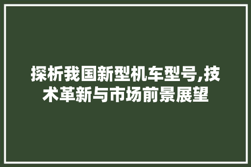 探析我国新型机车型号,技术革新与市场前景展望