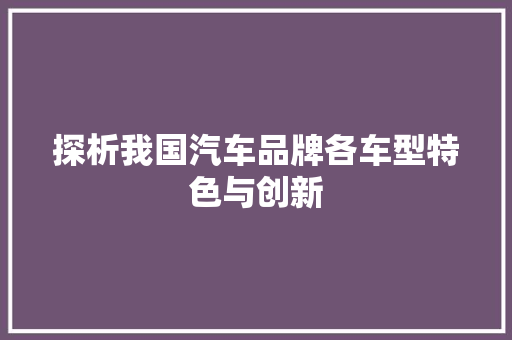 探析我国汽车品牌各车型特色与创新