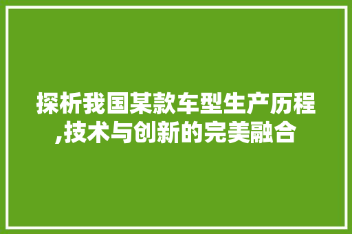探析我国某款车型生产历程,技术与创新的完美融合