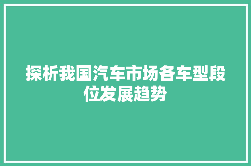 探析我国汽车市场各车型段位发展趋势