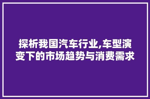 探析我国汽车行业,车型演变下的市场趋势与消费需求 车灯配件