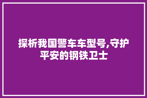 探析我国警车车型号,守护平安的钢铁卫士