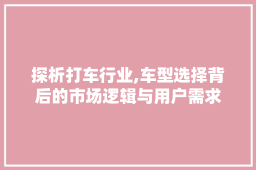 探析打车行业,车型选择背后的市场逻辑与用户需求