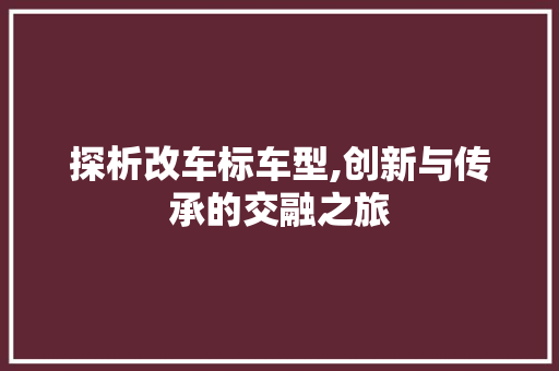 探析改车标车型,创新与传承的交融之旅