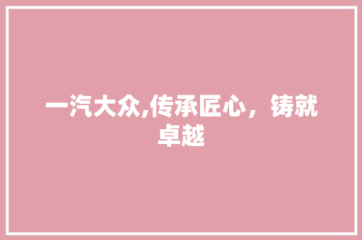 一汽大众,传承匠心，铸就卓越
