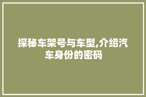 探秘车架号与车型,介绍汽车身份的密码