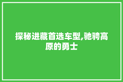 探秘进藏首选车型,驰骋高原的勇士