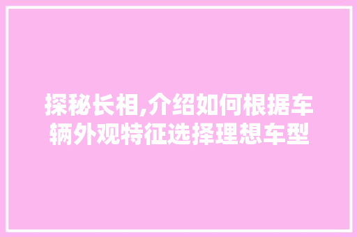 探秘长相,介绍如何根据车辆外观特征选择理想车型