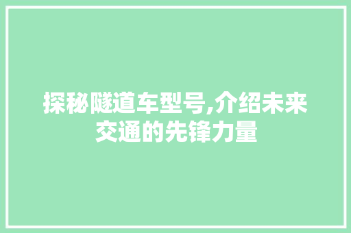 探秘隧道车型号,介绍未来交通的先锋力量