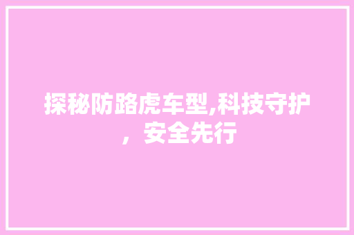 探秘防路虎车型,科技守护，安全先行