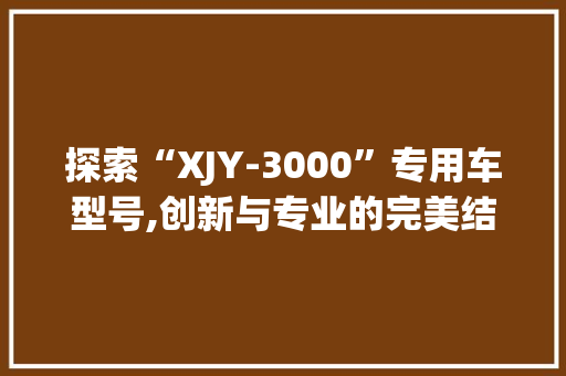 探索“XJY-3000”专用车型号,创新与专业的完美结合