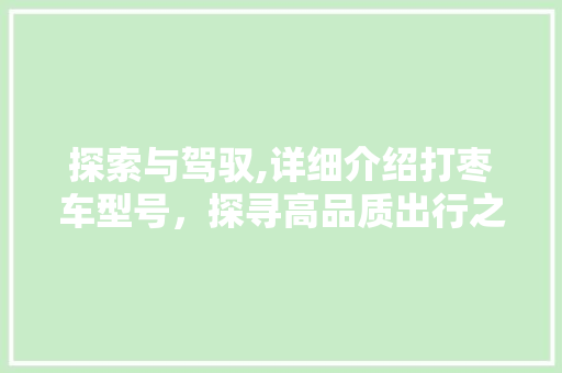 探索与驾驭,详细介绍打枣车型号，探寻高品质出行之路