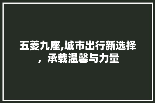 五菱九座,城市出行新选择，承载温馨与力量
