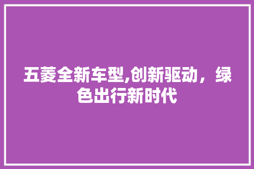 五菱全新车型,创新驱动，绿色出行新时代