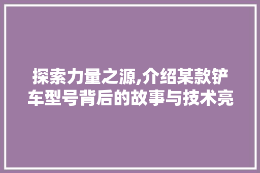 探索力量之源,介绍某款铲车型号背后的故事与技术亮点